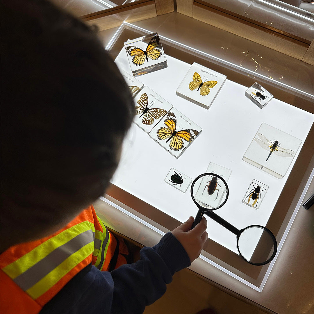 Illuminated Exploration Board – LED Light Panel