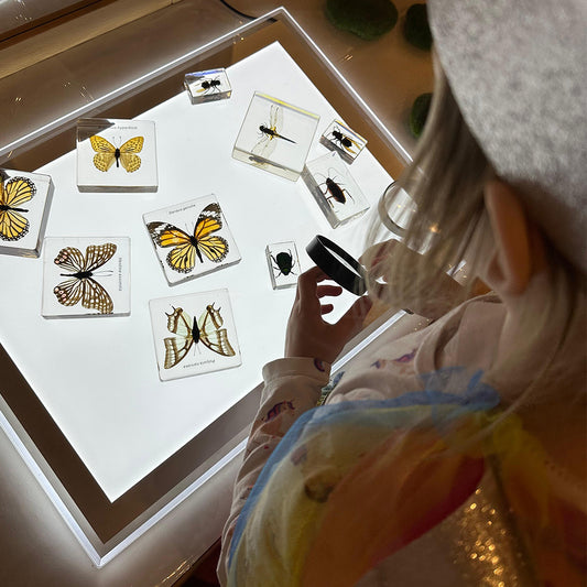 Illuminated Exploration Board – LED Light Panel