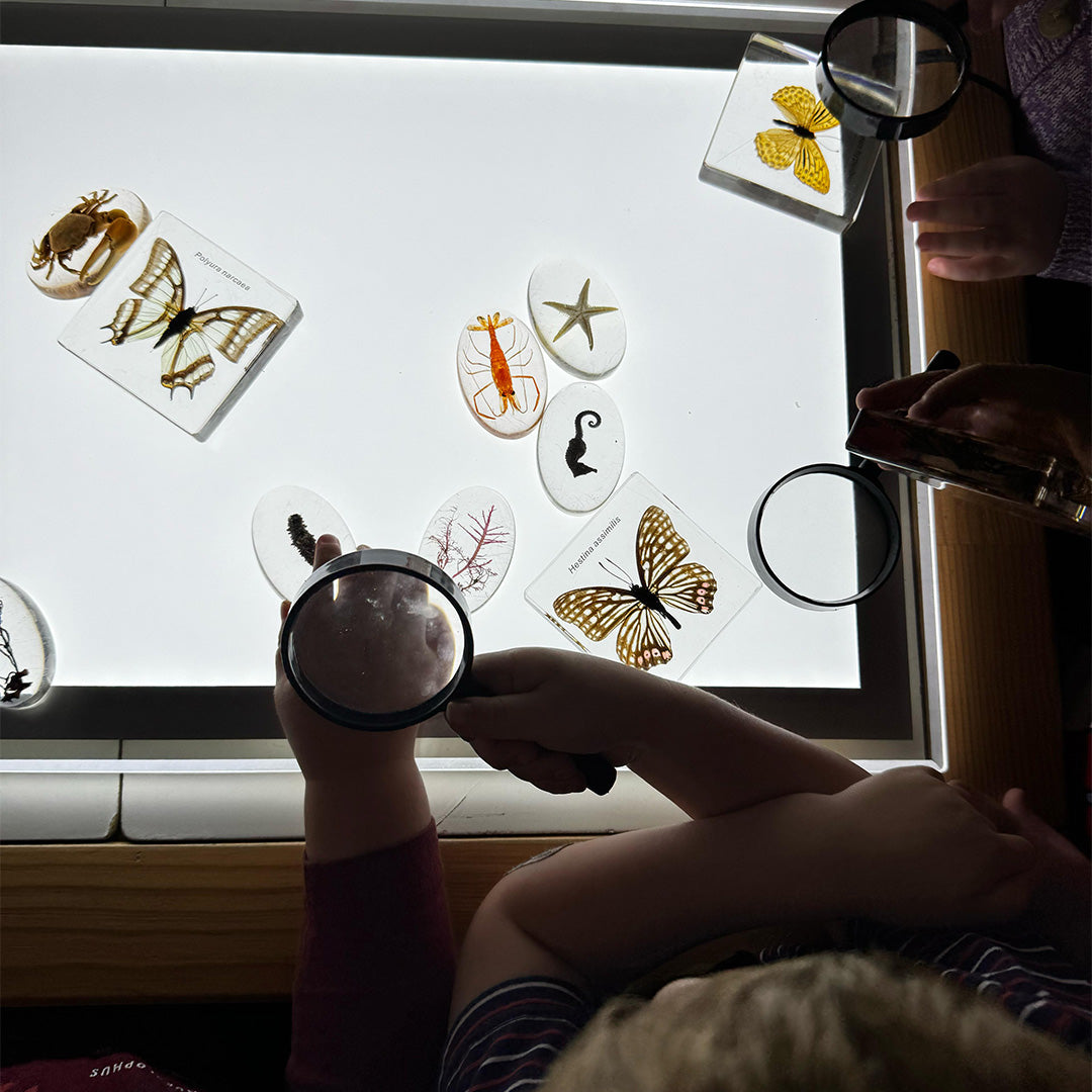 Illuminated Exploration Board – LED Light Panel