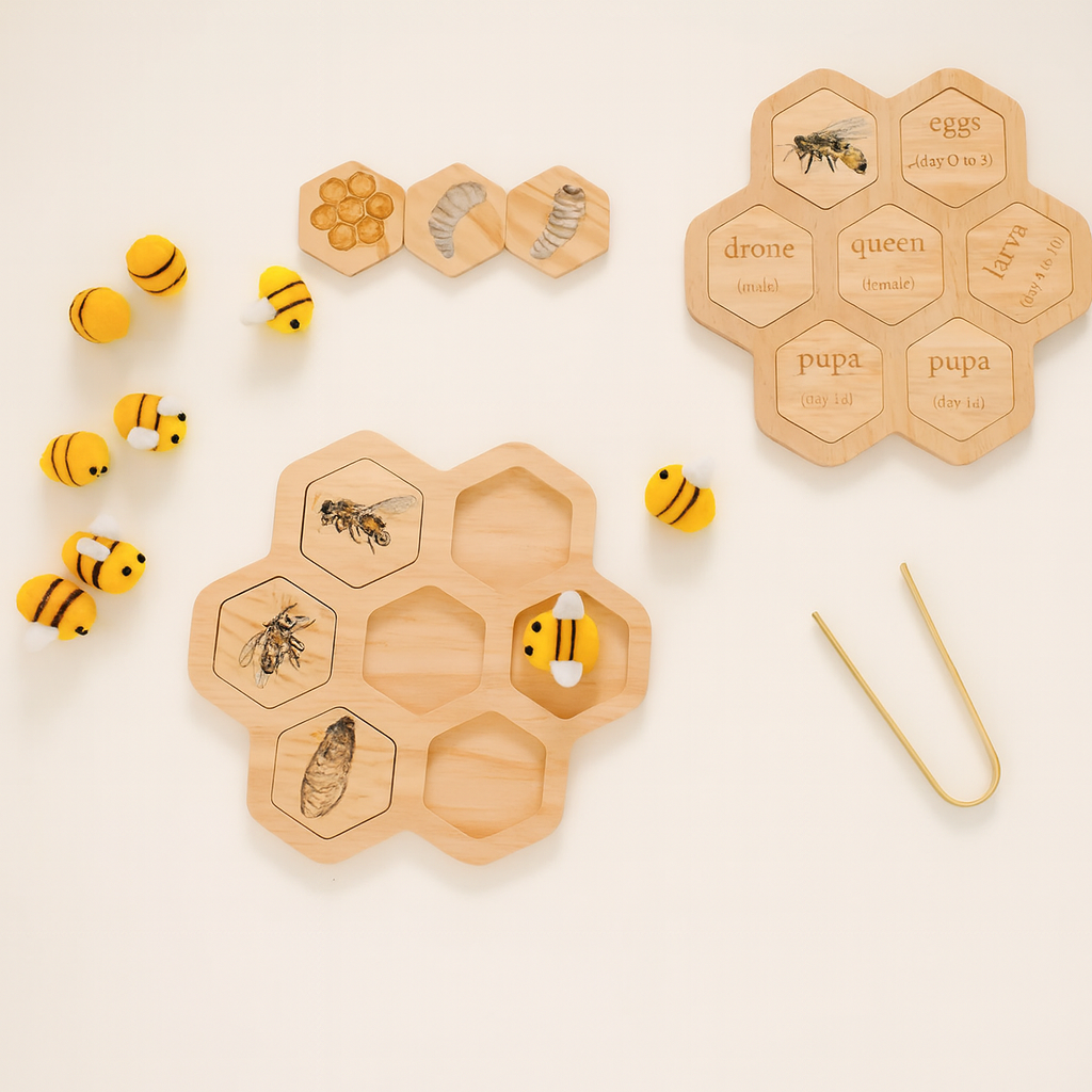 Montessori Life Cycle Puzzle Set