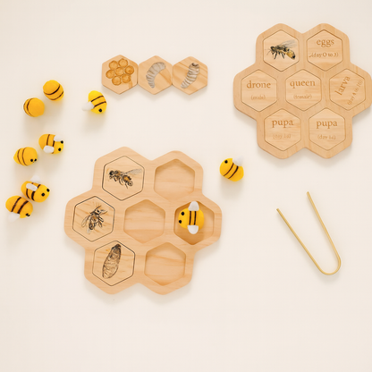 Montessori Life Cycle Puzzle Set
