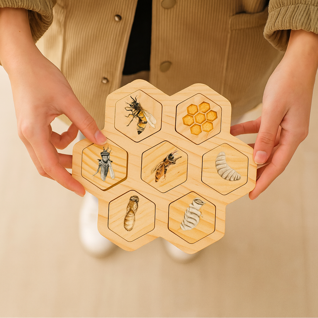 Montessori Life Cycle Puzzle Set