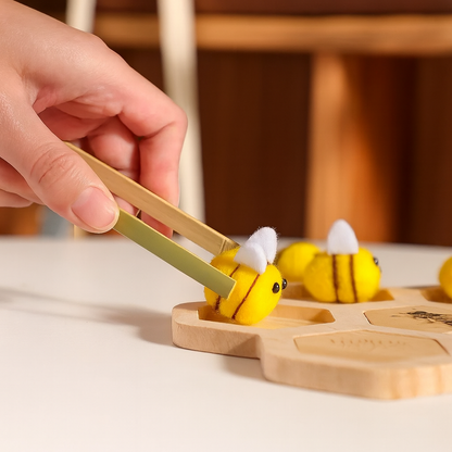 Montessori Life Cycle Puzzle Set