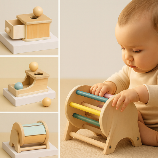 Montessori Early Learning Set