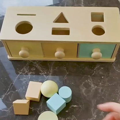 Montessori Wooden Shape Sorting Drawer